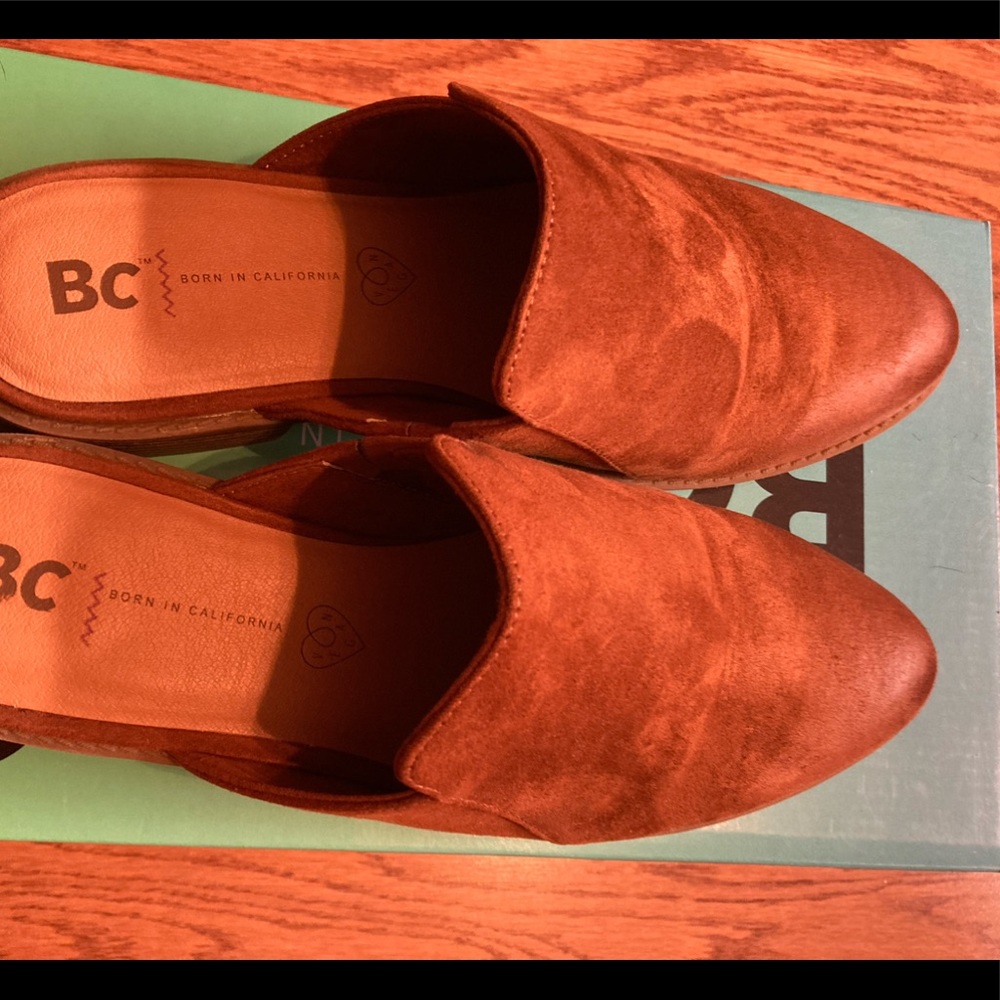 BC Mule - Picture 2 of 4